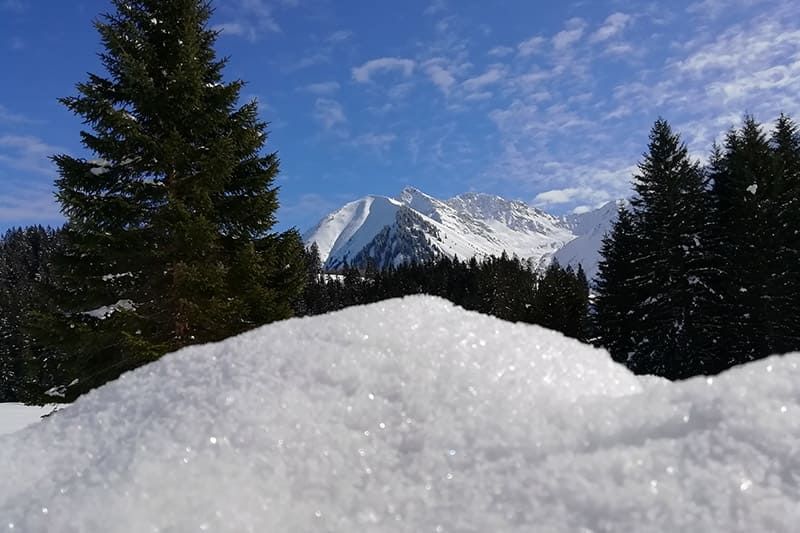 Red stone in winter