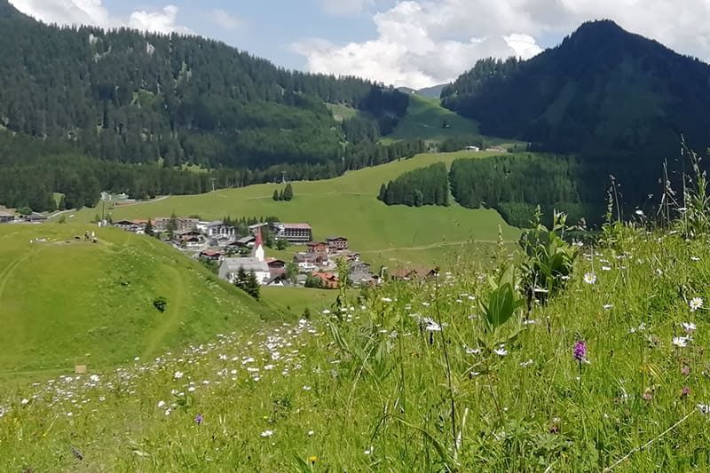 Berwang Alpkopf