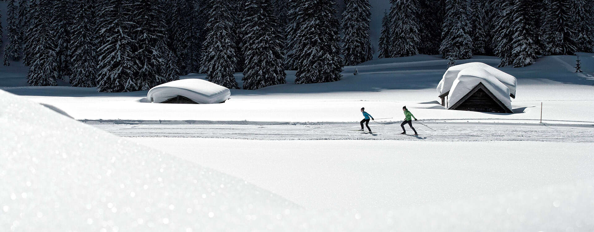 Cross-country skiing Ehrwalder Alm
