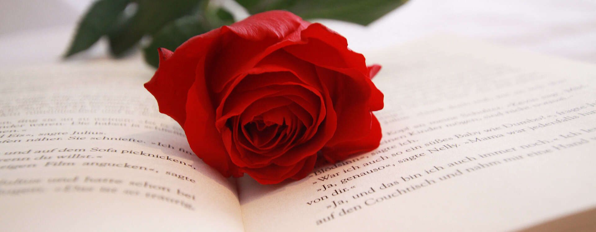 Ambiente Haus Schöne Aussicht