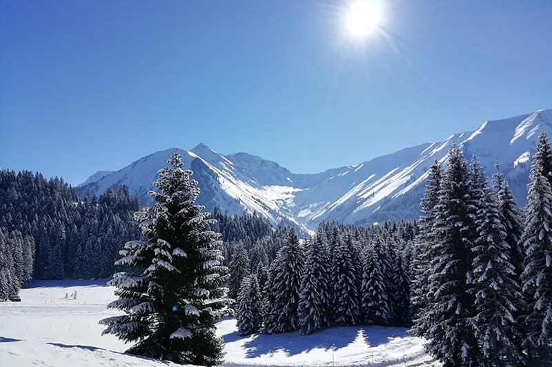 Winter sun in Berwang Zugspitz Arena
